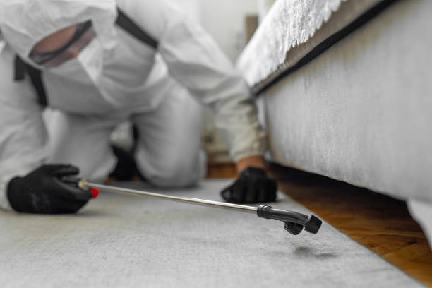 Professional Bed Bug Control technician working in Russellville, KY
